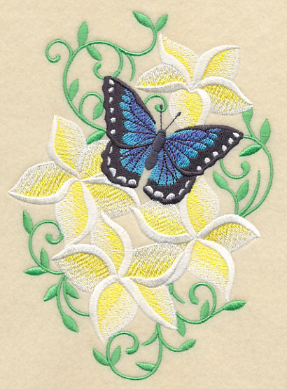 Frangipani and Butterfly