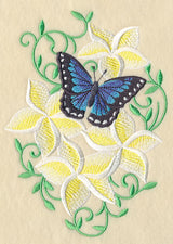 Frangipani and Butterfly