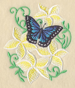 Frangipani and Butterfly