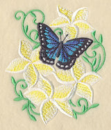 Frangipani and Butterfly