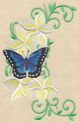 Frangipani and Butterfly Spray