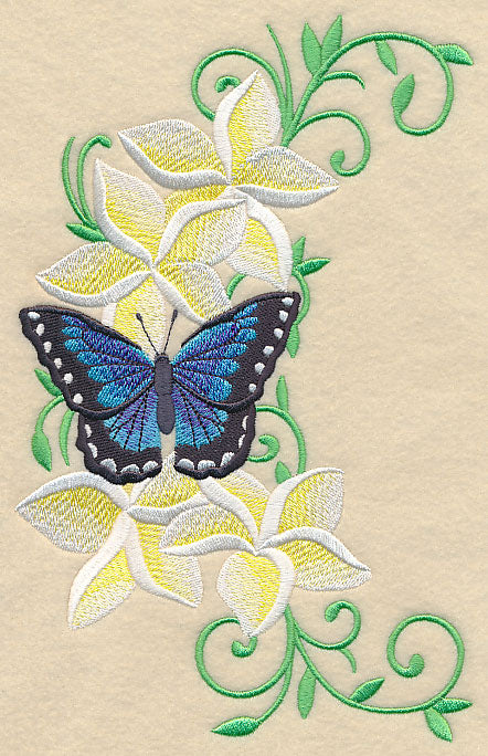 Frangipani and Butterfly Spray