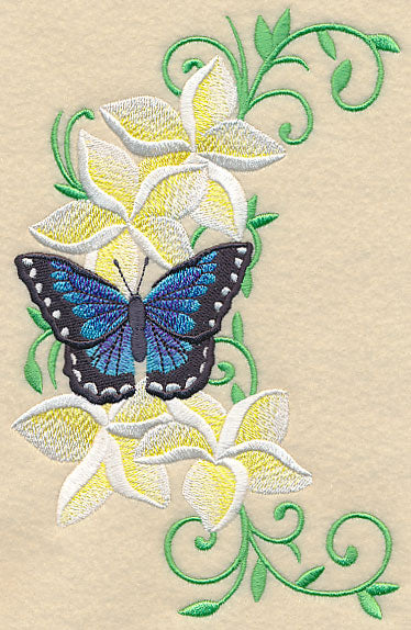 Frangipani and Butterfly Spray