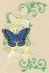 Frangipani and Butterfly Spray