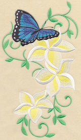 Frangipani and Butterfly Flourish
