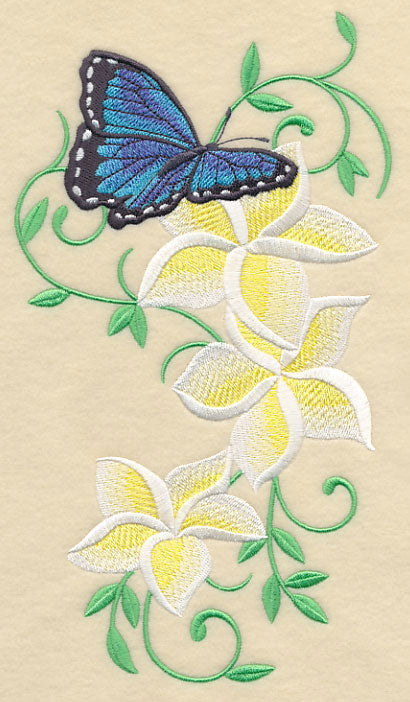 Frangipani and Butterfly Flourish