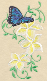Frangipani and Butterfly Flourish