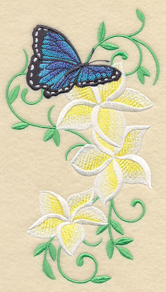 Frangipani and Butterfly Flourish
