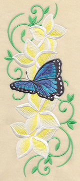 Frangipani and Butterfly Plume