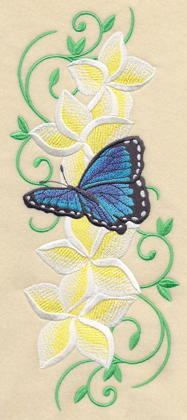 Frangipani and Butterfly Plume