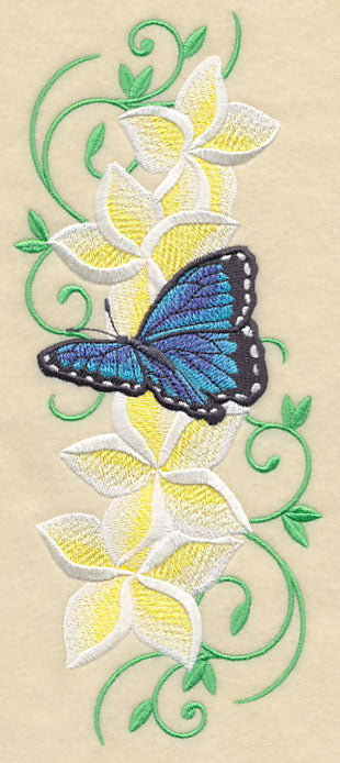 Frangipani and Butterfly Plume