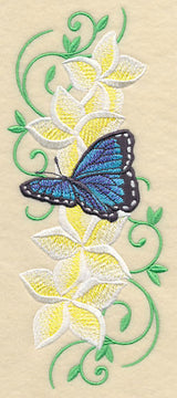 Frangipani and Butterfly Plume