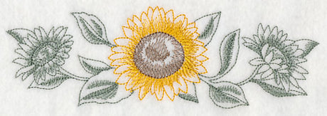 Sunflower Border (Toile)