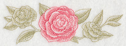 Camellia Border (Toile)
