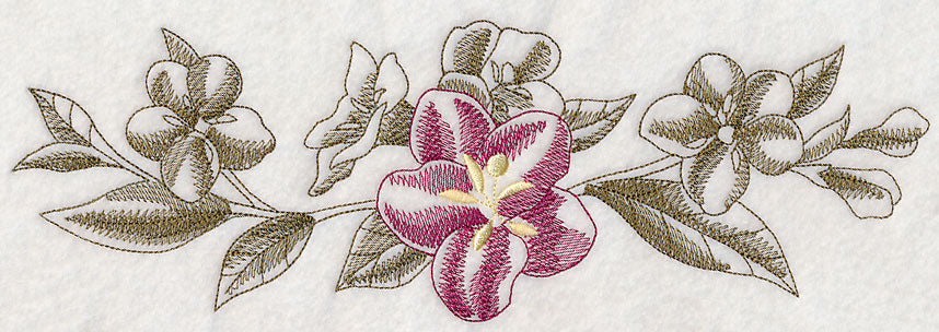 Weigela Border (Toile)