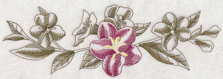 Weigela Border (Toile)