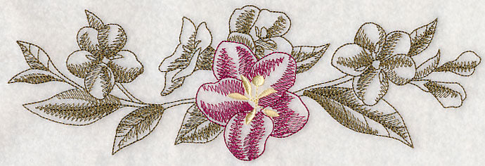 Weigela Border (Toile)