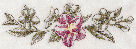 Weigela Border (Toile)