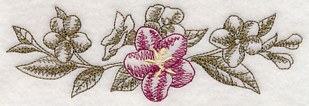 Weigela Border (Toile)