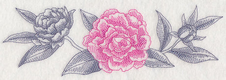 Peony Border (Toile)