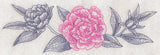 Peony Border (Toile)