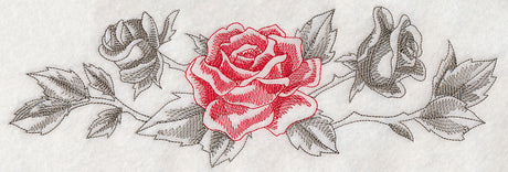 Rose Border (Toile)