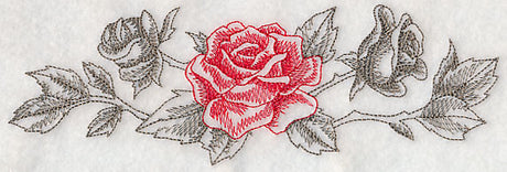 Rose Border (Toile)