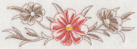 Cosmos Border (Toile)