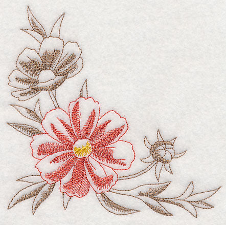 Cosmos Corner (Toile)