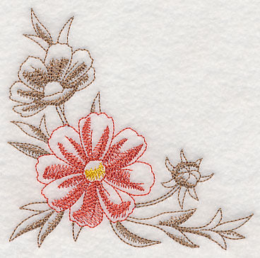 Cosmos Corner (Toile)