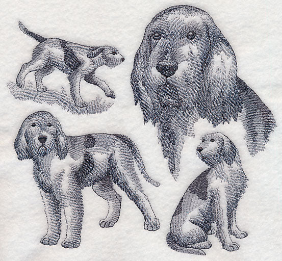 Spinone Italiano Sketch (Full Tail)