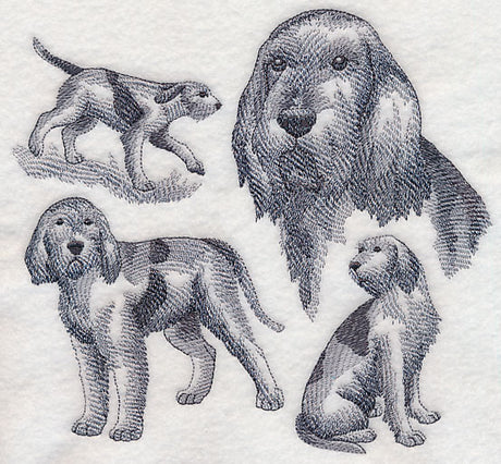 Spinone Italiano Sketch (Full Tail)