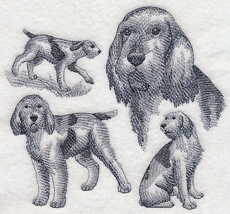 Spinone Italiano Sketch (Docked Tail)