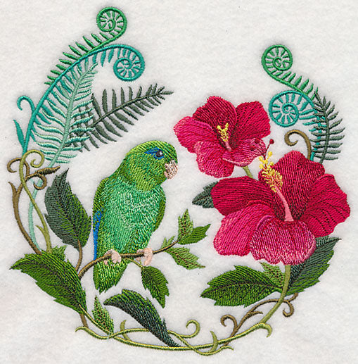 Parrotlet with Hibiscus