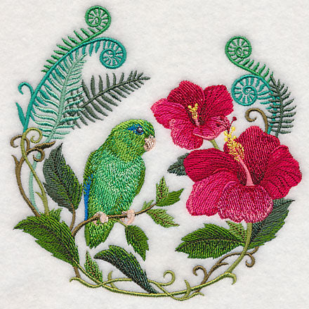 Parrotlet with Hibiscus