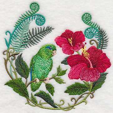 Parrotlet with Hibiscus