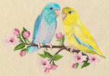 Parrotlet on Cherry Blossom Branch