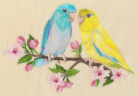 Parrotlet on Cherry Blossom Branch