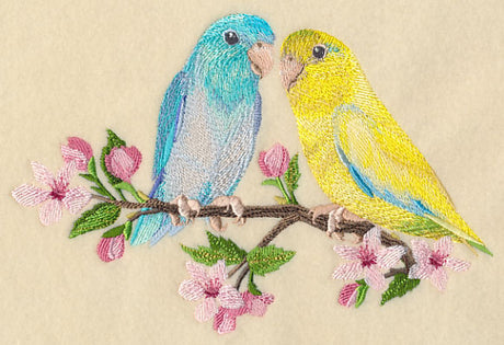 Parrotlet on Cherry Blossom Branch