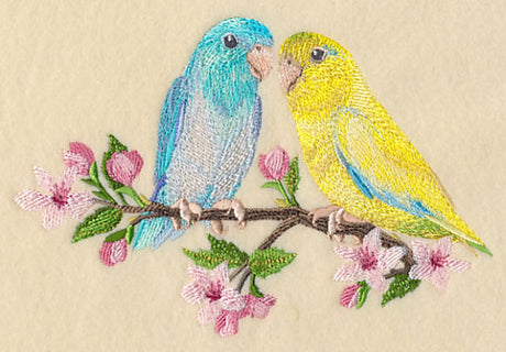 Parrotlet on Cherry Blossom Branch