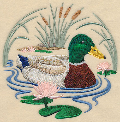 Mallard Duck Scene