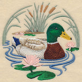Mallard Duck Scene