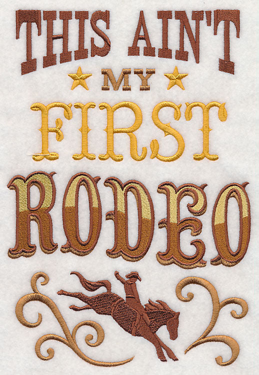 This Ain't My First Rodeo