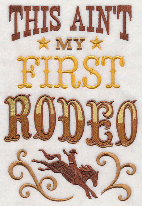 This Ain't My First Rodeo