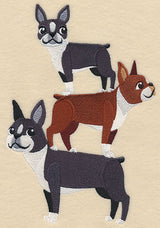 Boston Terrier Stack