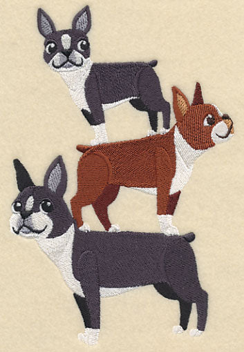 Boston Terrier Stack