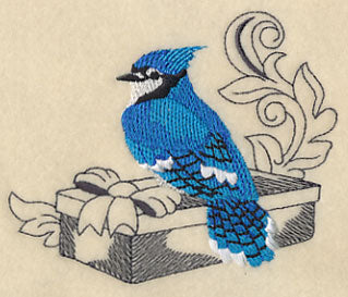 Blue Jay and Gift