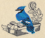 Blue Jay and Gift