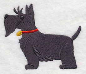 Scottish Terrier - Red Collar
