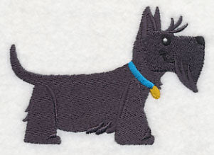 Scottish Terrier - Blue Collar